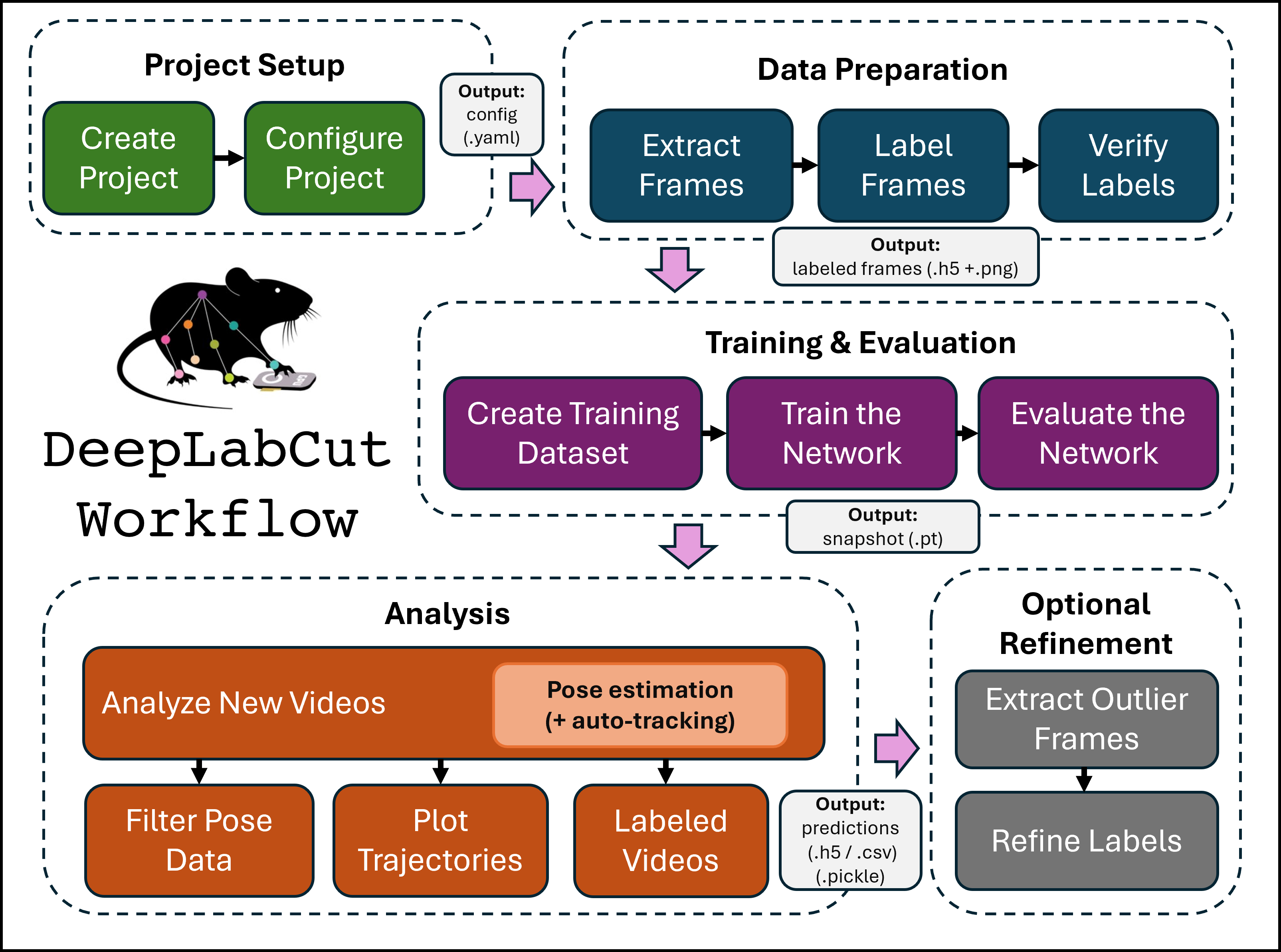 The 5 phases of the DeepLabCut workflow.